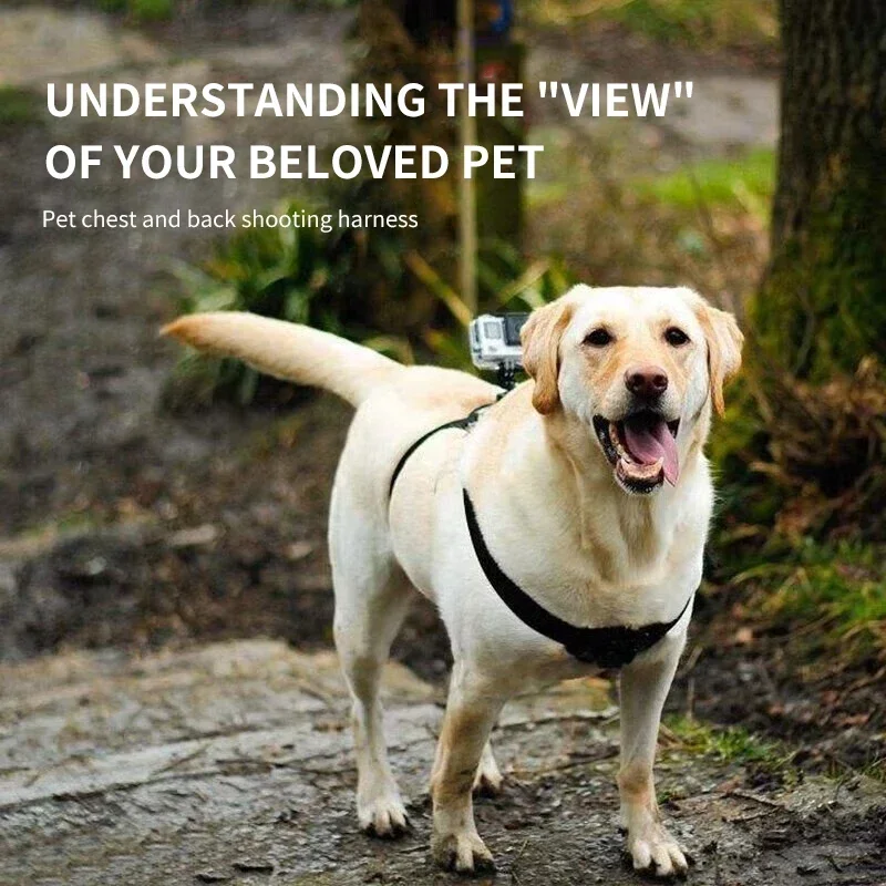 Soporte de arnés para mascotas para Gopro Hero, Dji Action, Insta360 Go3, correa trasera ajustable de doble cámara, soporte de vista con perspectiva para perros/gatos - imagen 5