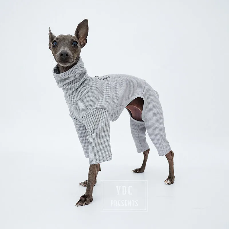 Abrigo algodon waffle cuello alto galgo italiano y whippet primavera - imagen 4