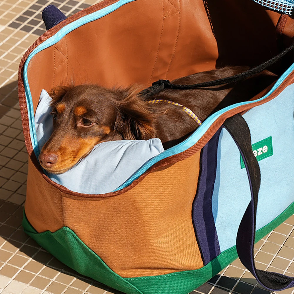 Mochila transpirable para perros - Dachshund y Wiener, viajes y paseos - imagen 3