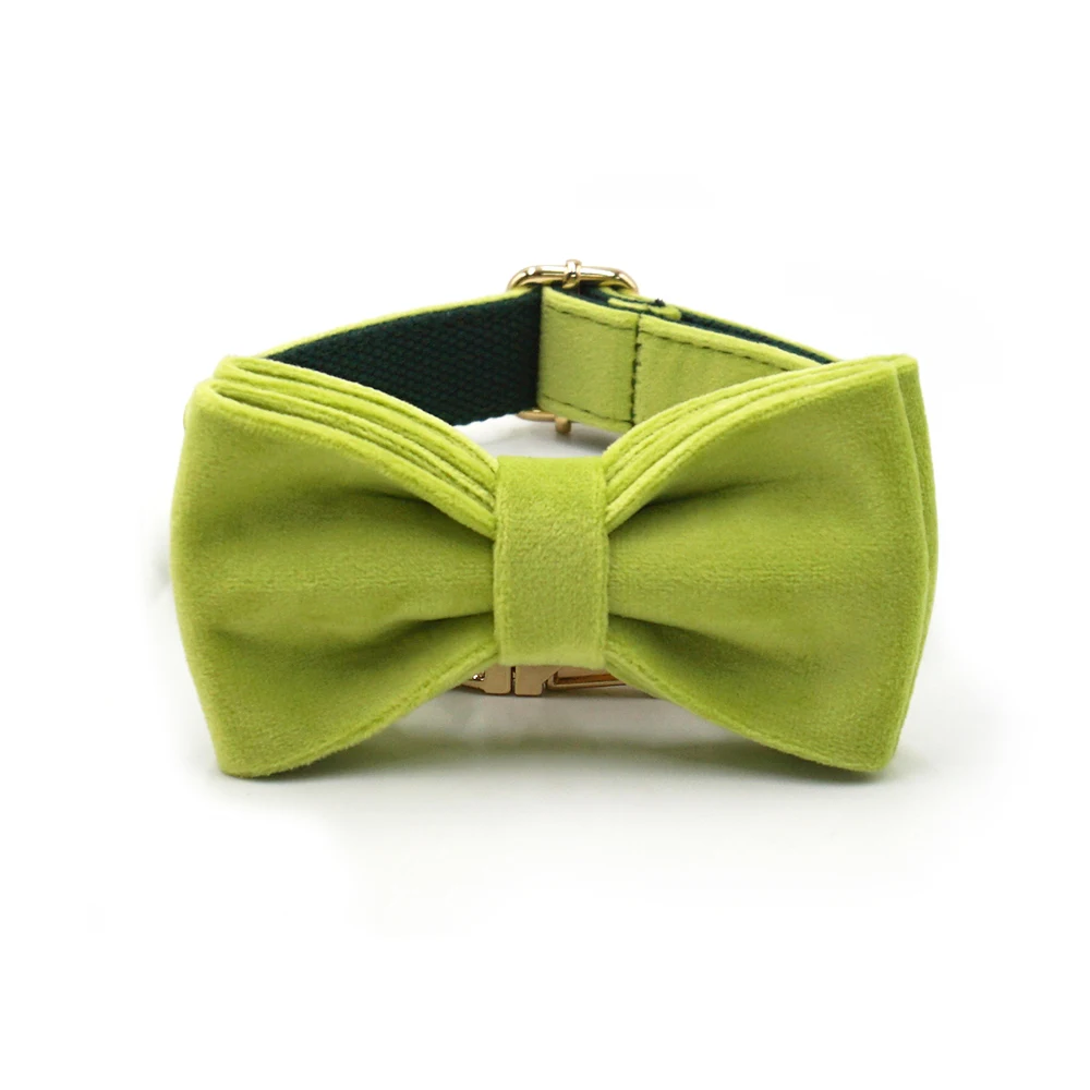 collar with bow