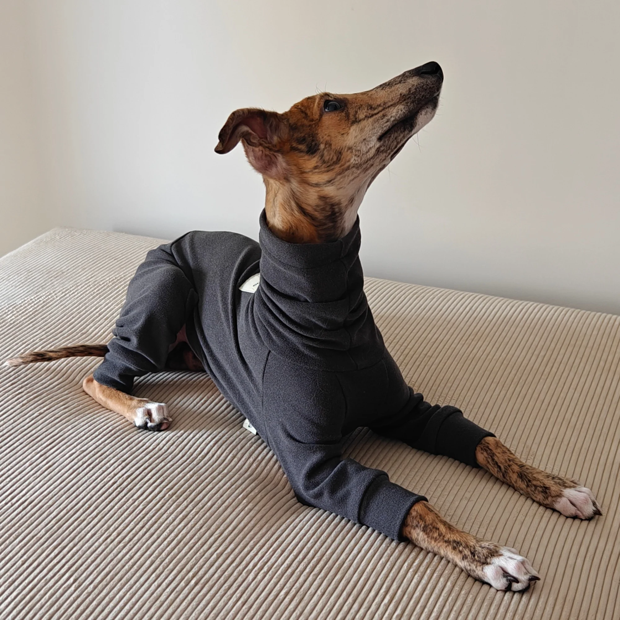 Mono de cuello alto – Abrigo polar para Whippet y Galgo Italiano