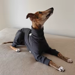 Mono de cuello alto – Abrigo polar para Whippet y Galgo Italiano