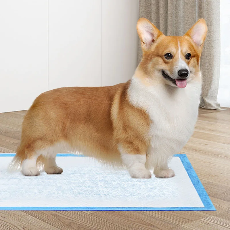 Pañales súper absorbentes para cachorros – diseño anti fugas - imagen 2