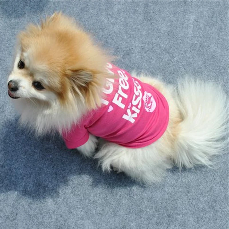 Camiseta con estampado dulce para cachorros y perros, chaleco de algodón para primavera y otoño, ropa para mascotas para perros pequeños, caniche, Yorkshire, camisetas de peluche, trajes para mascotas - imagen 3