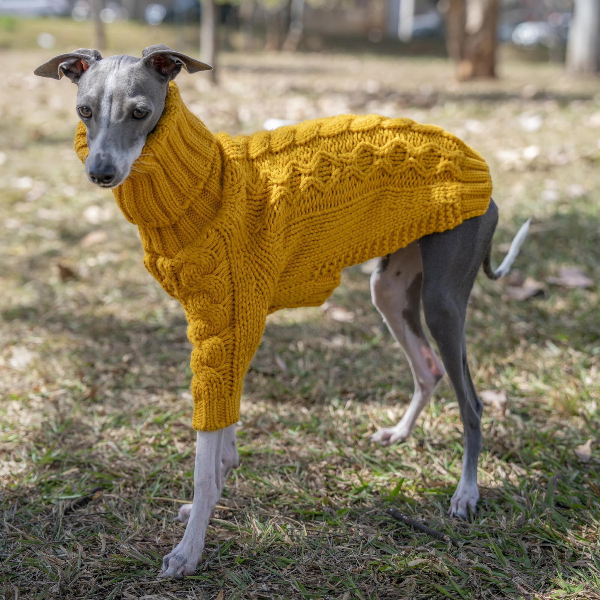 Suéter grueso de invierno para perros, ropa de punto con cuello alto para mascotas, ropa cómoda y cálida para perros grandes en clima frío, 1 ud. - imagen 2