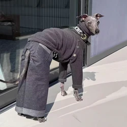 Mono de mezclilla elástico para perro Galgo Italiano – Ropa primavera
