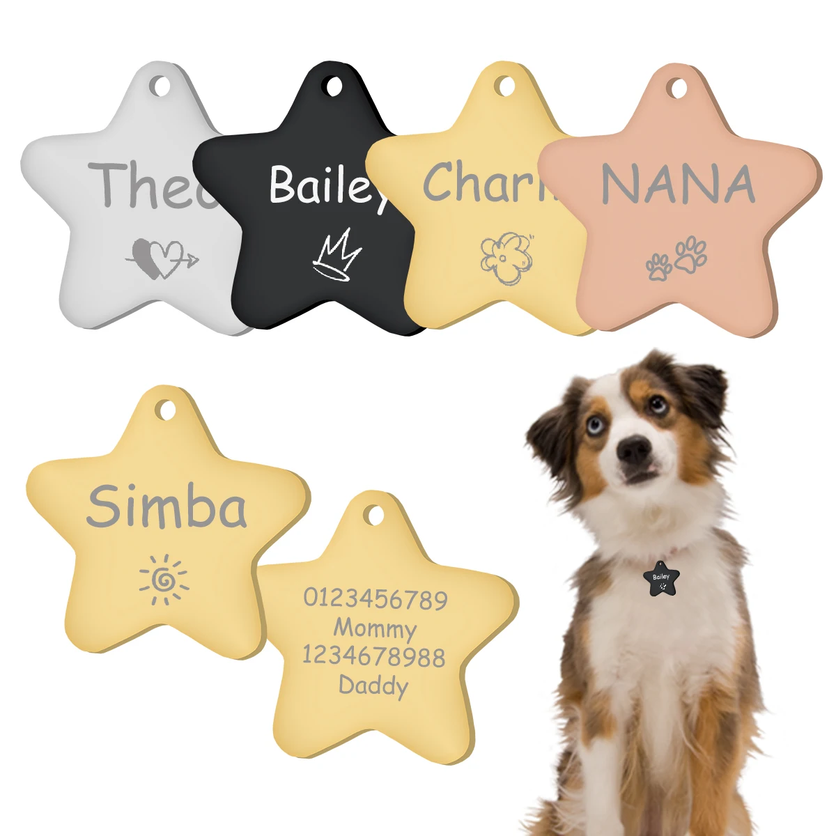 Etiquetas de identificación de perro personalizadas, grabado para gato, cachorro, identificación de mascota, placa de número, dirección, Collar, etiqueta, colgante de pentagrama, accesorios para perros y gatos