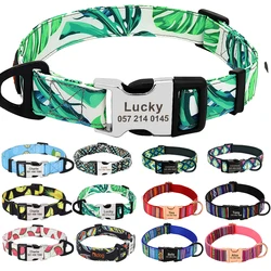 Collar identificativo de nailon para perros – Placa grabable