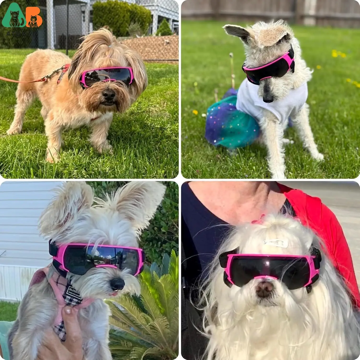 ATUBAN Gafas de sol para perros de razas pequeñas a medianas, lentes antivaho UV400, gafas de sol para cachorros, gafas ligeras para perros UV, viento - imagen 3