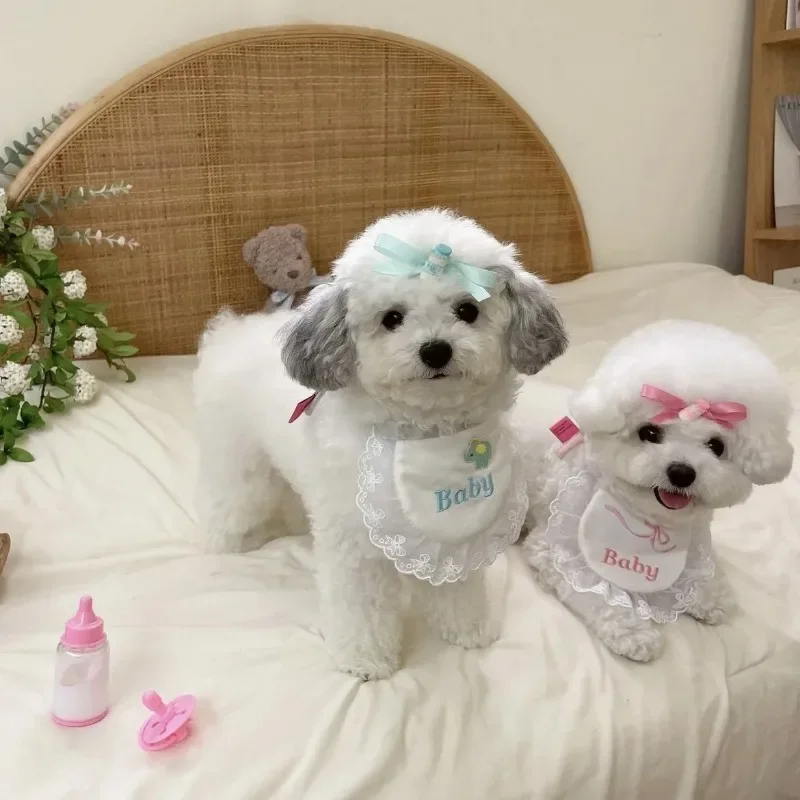 INS lindo encaje botella arco Baberos para mascotas algodón cómodo gato perro baba toalla cachorro Clip para el pelo conjunto decoraciones Collar accesorios para perros - imagen 4