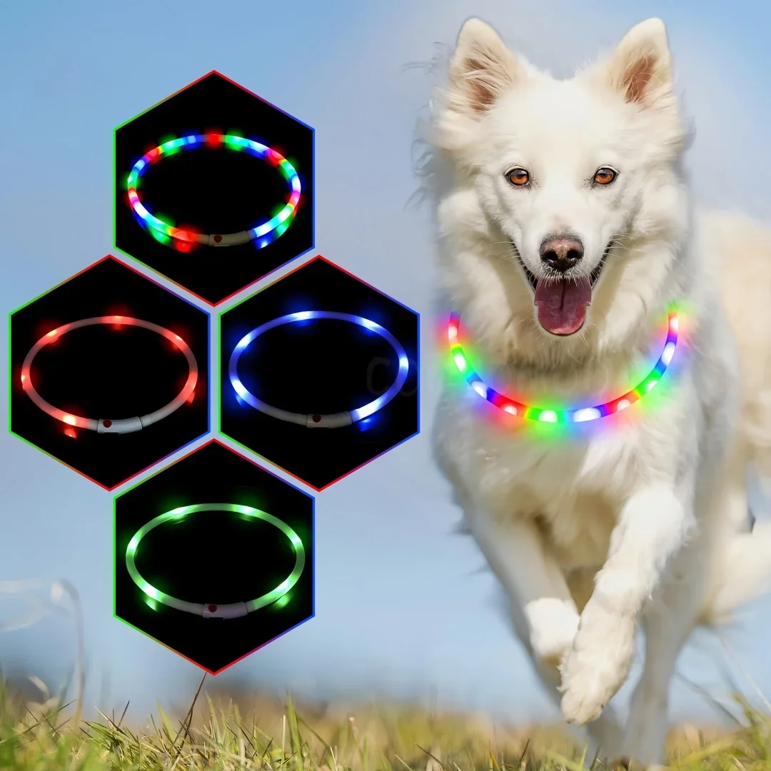 Led Dog Collar Luminous Usb Cat Dog Collar 4 Modes Soft Silicone Glowing Loss Prevention Collar For Dogs Pet Night Accessories - imagen 3