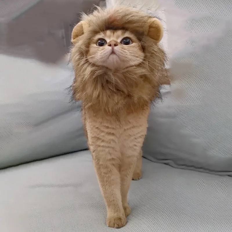 Bonita peluca de gato de crinera de León, sombrero para perros y gatos, accesorios de decoración para perros pequeños, peluca de León, disfraz, gorro de pelo elegante, suministros para mascotas - imagen 4