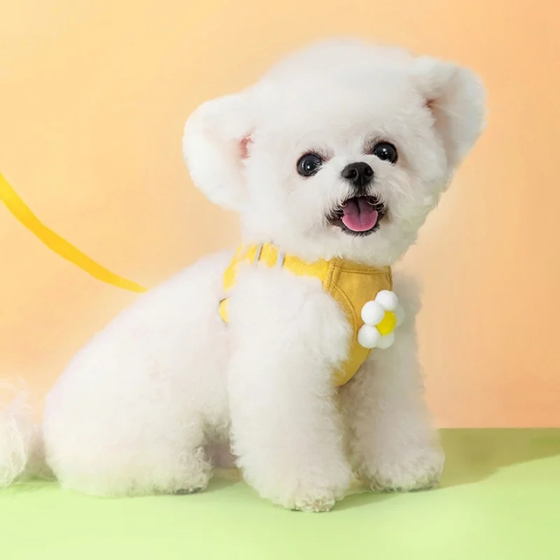 Arnés para perros pequeños y medianos, correa para el pecho para cachorros, chaleco con arnés ajustable para gatos, cuerda para caminar al aire libre, accesorios para perros - imagen 2