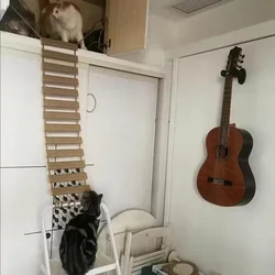 Escalera con puente para gatos – Rampa de sisal y madera natural