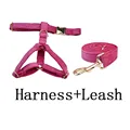harness leash