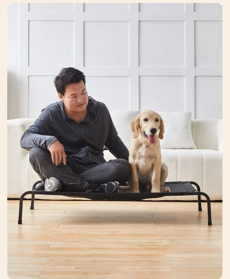 Perros grandes - Espacio amplio