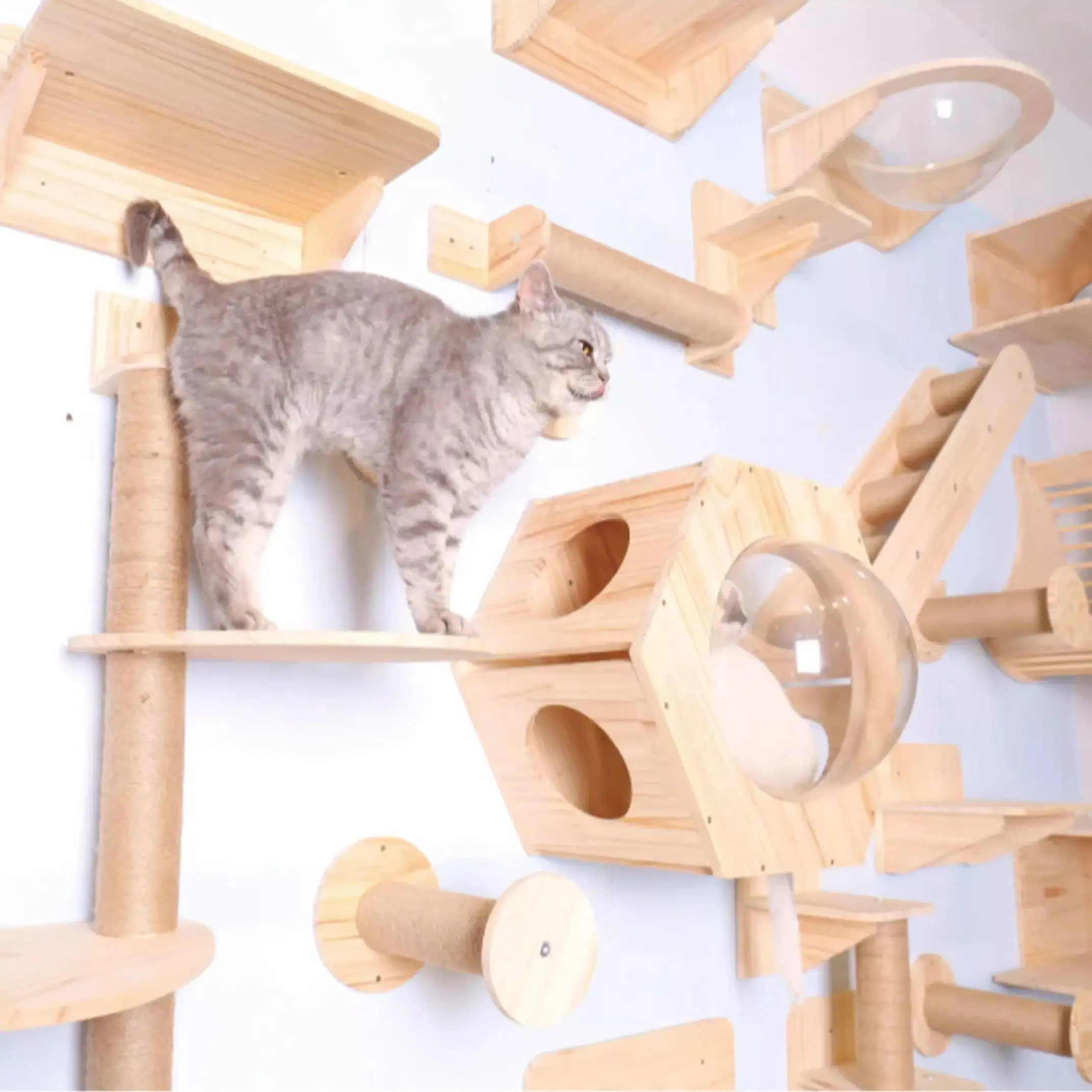 Marco de escalada para gatos, plataforma de salto de estilo de pared, muebles para gatos montados en la pared, pasos para gatos colgantes en la pared, juguetes de escalada - imagen 3