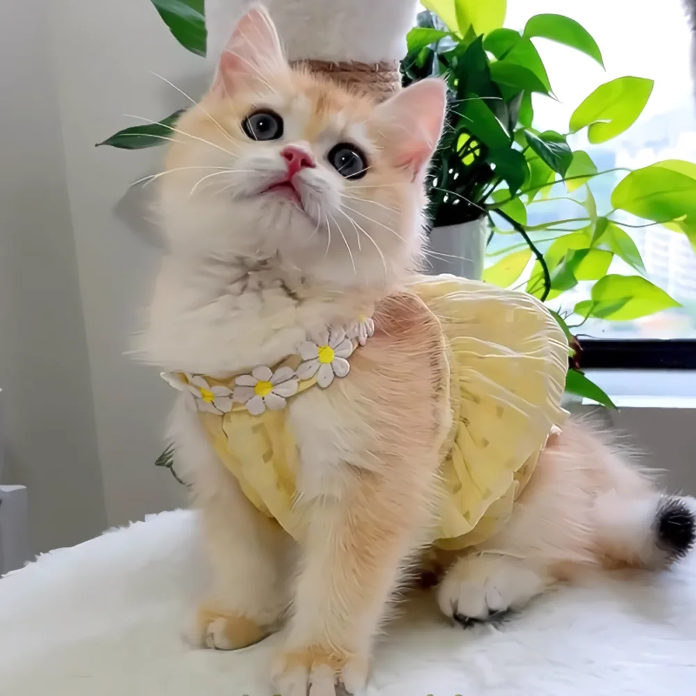 Vestido veraniego para gatos y perros pequeños – falda floral - imagen 5