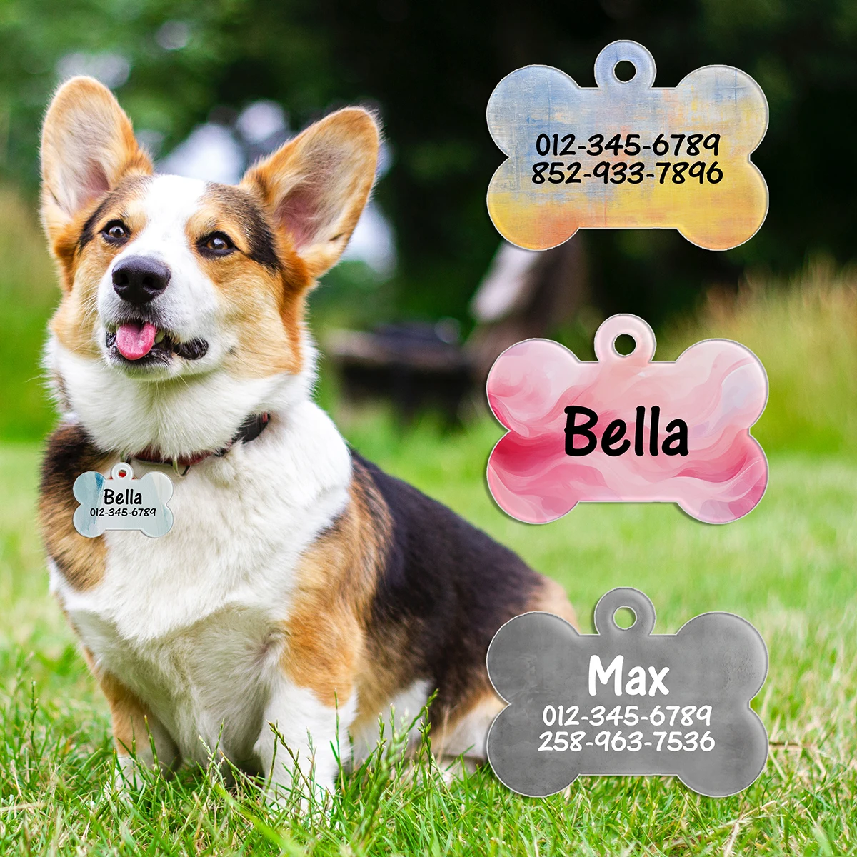 Placa identificativa personalizada con nombre para collar de mascota - imagen 5