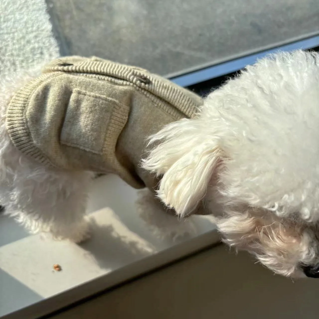 Chaleco de Cachemira tejido para otoño/invierno para mascotas, suéter de otoño/invierno, cárdigan, abrigo rojo de Navidad cálido y cómodo, suéter para perros pequeños - imagen 3