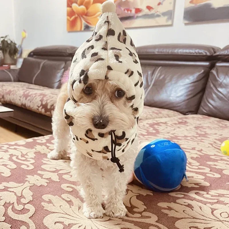 Gorro cálido de invierno para perros pequeños, disfraz divertido para cachorros, gatos, perros, Chihuahua, Yorkies, Sombrero, mascotas, accesorios para cachorro - imagen 3