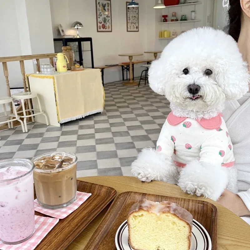 Camiseta fina de verano con cuello abatible para mascotas, camiseta de fresa, osos de peluche, ropa para cachorros y perros, Yorkshire, cachorro pequeño, Schnauzer, ropa para cachorros y gatos - imagen 3