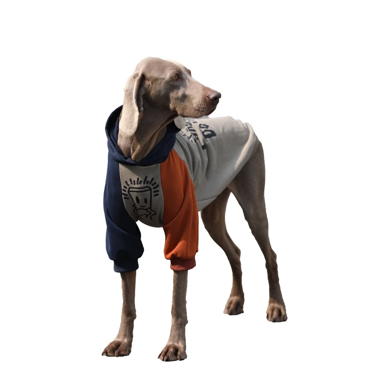 Sudadera con capucha para perros grandes y medianos, traje de ocio de primavera, trajes deportivos de Golden Retriever Labrador, disfraz para perros medianos y grandes - imagen 5