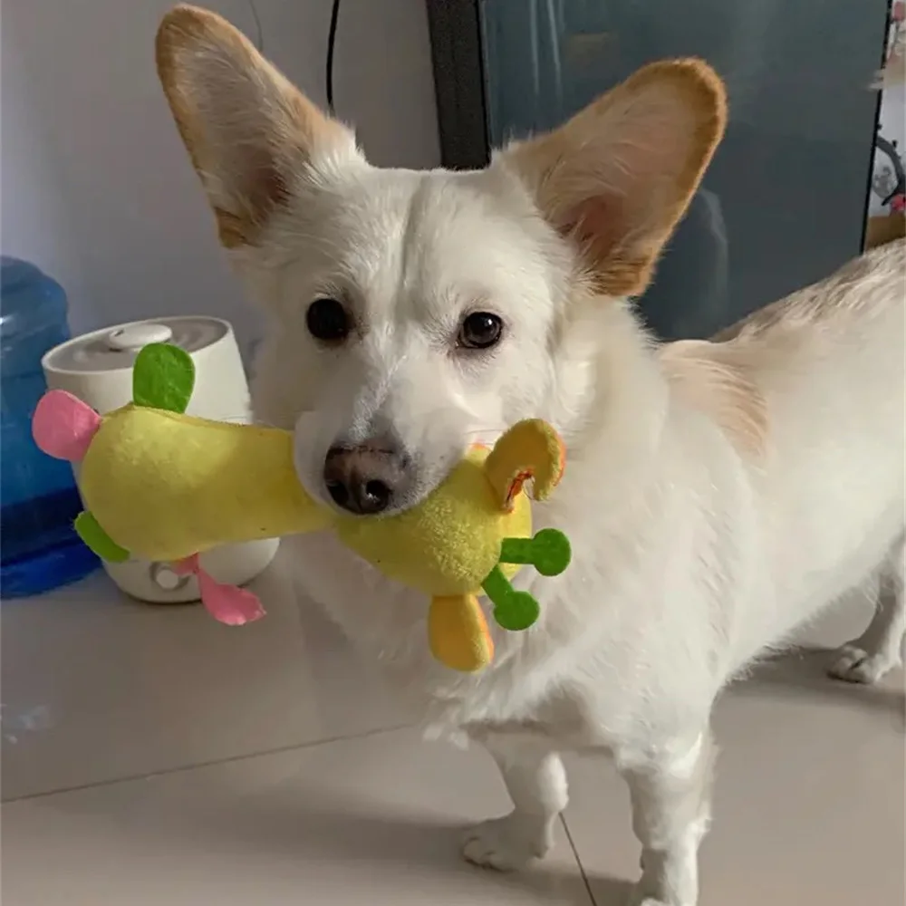 Cosas de peluche para cachorros y cachorros, juguete para limpiar los dientes, juguetes para masticar mascotas para perros pequeños, Pinscher Pomerania, Chihuahua, accesorios para mascotas - imagen 5