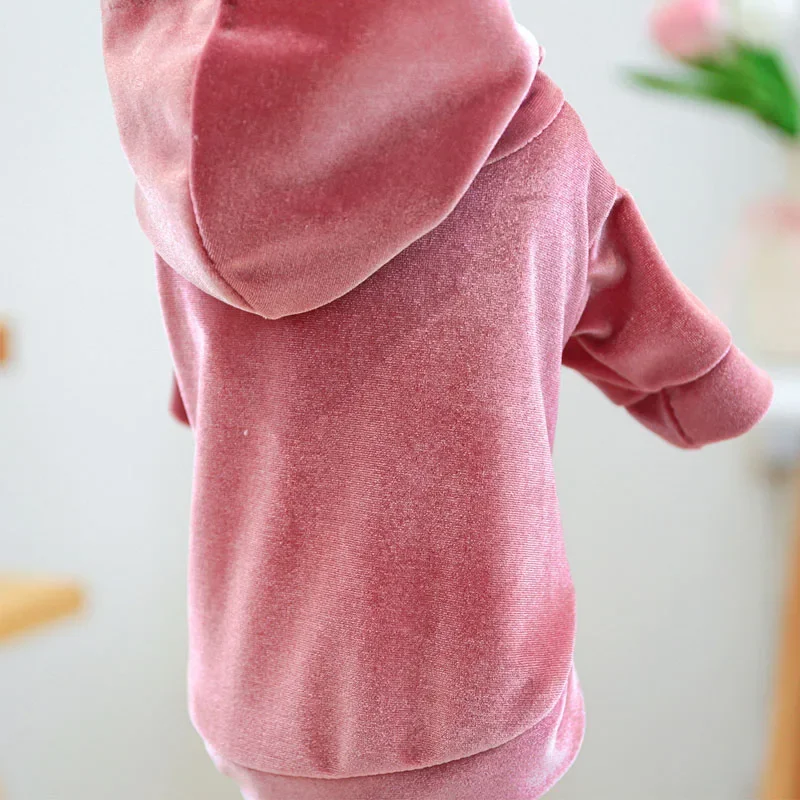 Sudaderas con capucha de terciopelo a la moda para perro, ropa para mascotas rosa, gris y azul para perros pequeños, trajes para perros Pomerania, chaqueta para cachorros - imagen 5