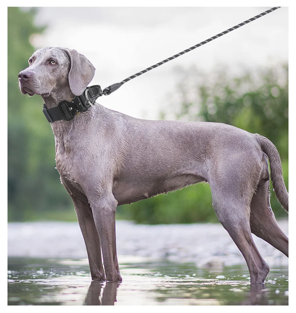 Collar táctico para perros medianos a grandes, Collar para mascotas de 8 colores, arnés cómodo y duradero para entrenar y controlar - imagen 4