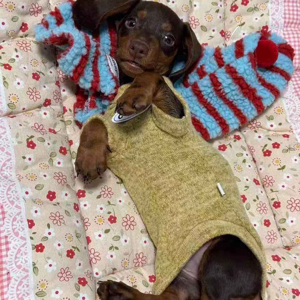 Suéter de lana para perros Wiener, camiseta interior suave para perros salchicha en invierno, abrigo cálido de manga larga para salchicha en miniatura - imagen 4