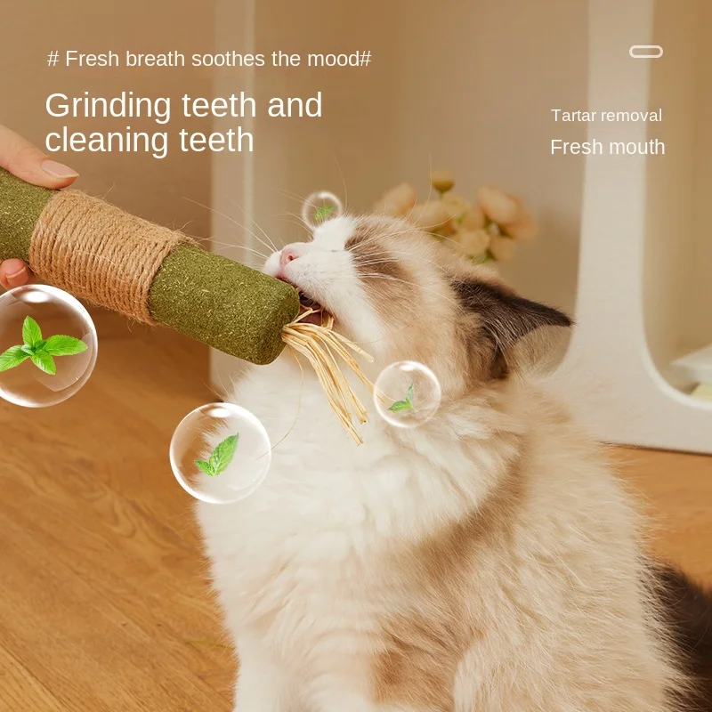 Juguetes para gatos Silvervine, palitos para masticar, aperitivos para mascotas, cosas naturales con hierba gatera para gatos, limpieza de dientes, accesorios para gatos Katze - imagen 4