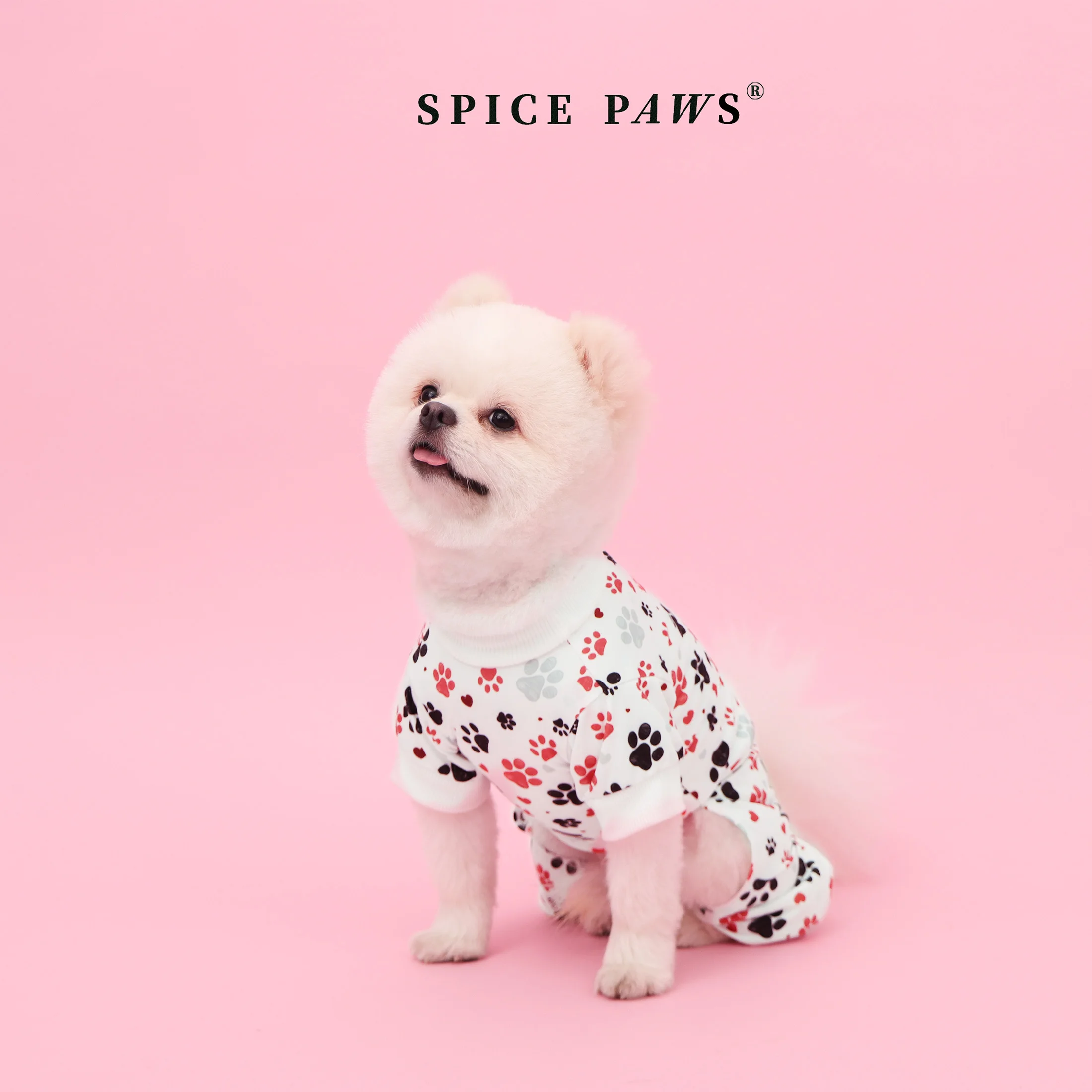 Mono de cuatro patas para gatos y perros con huellas de San Valentín - imagen 4