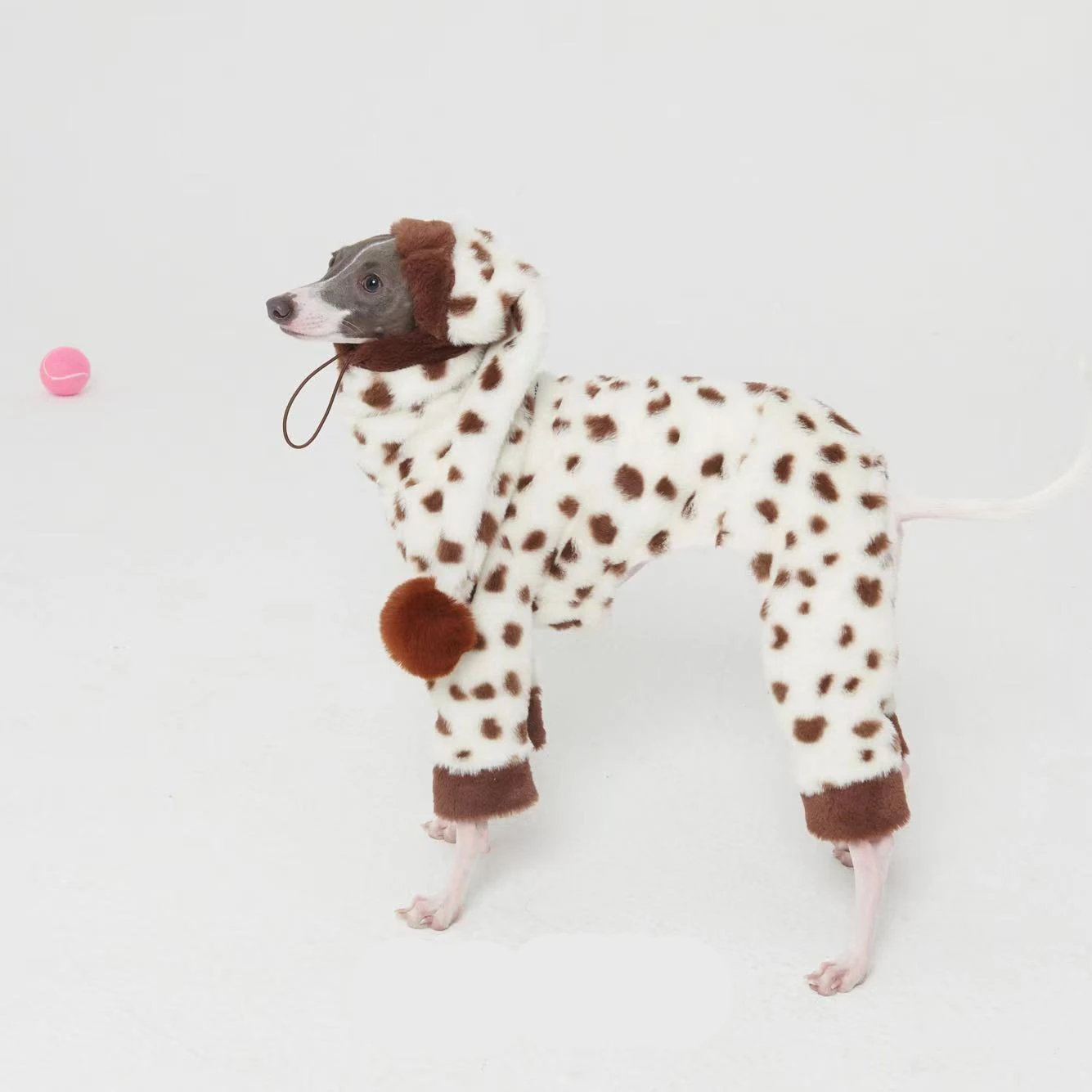 Abrigo lana estampado vaca para Galgo Inglés y Whippet – Cuello alto - imagen 3