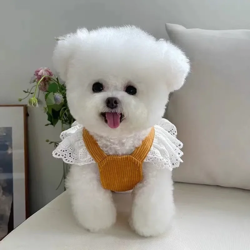 Ropa con lazo grande para mascotas, falda de calabaza de pana para otoño/invierno, falda de encaje a la moda con hebilla, vestidos para cachorros para perros pequeños - imagen 3