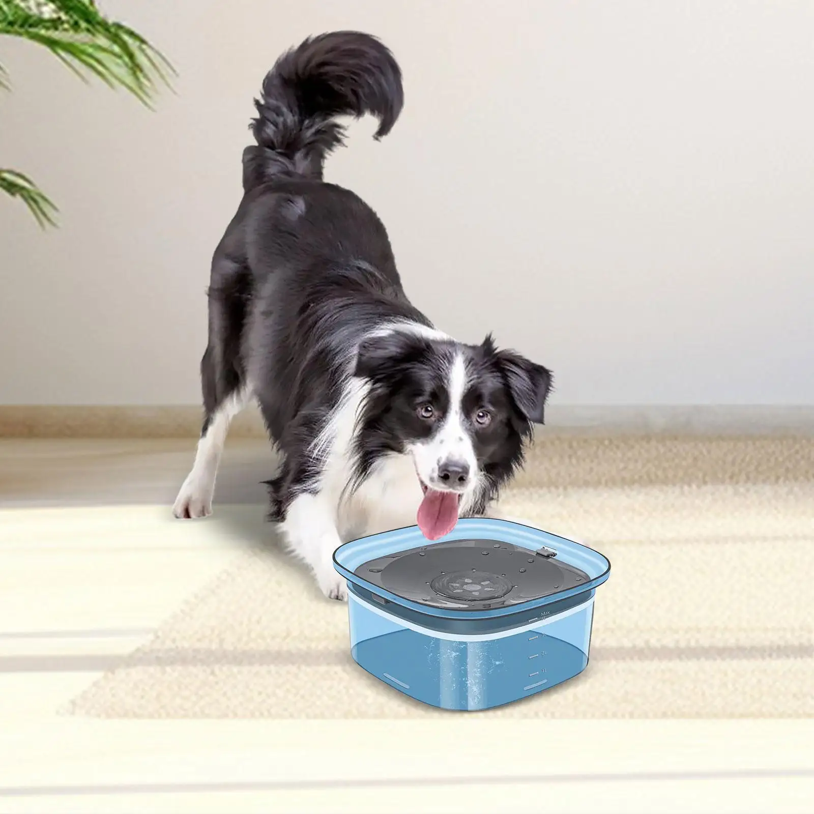 XL Pet Water Bowl - Spill-Resistant Drinking Dish for Large Pets