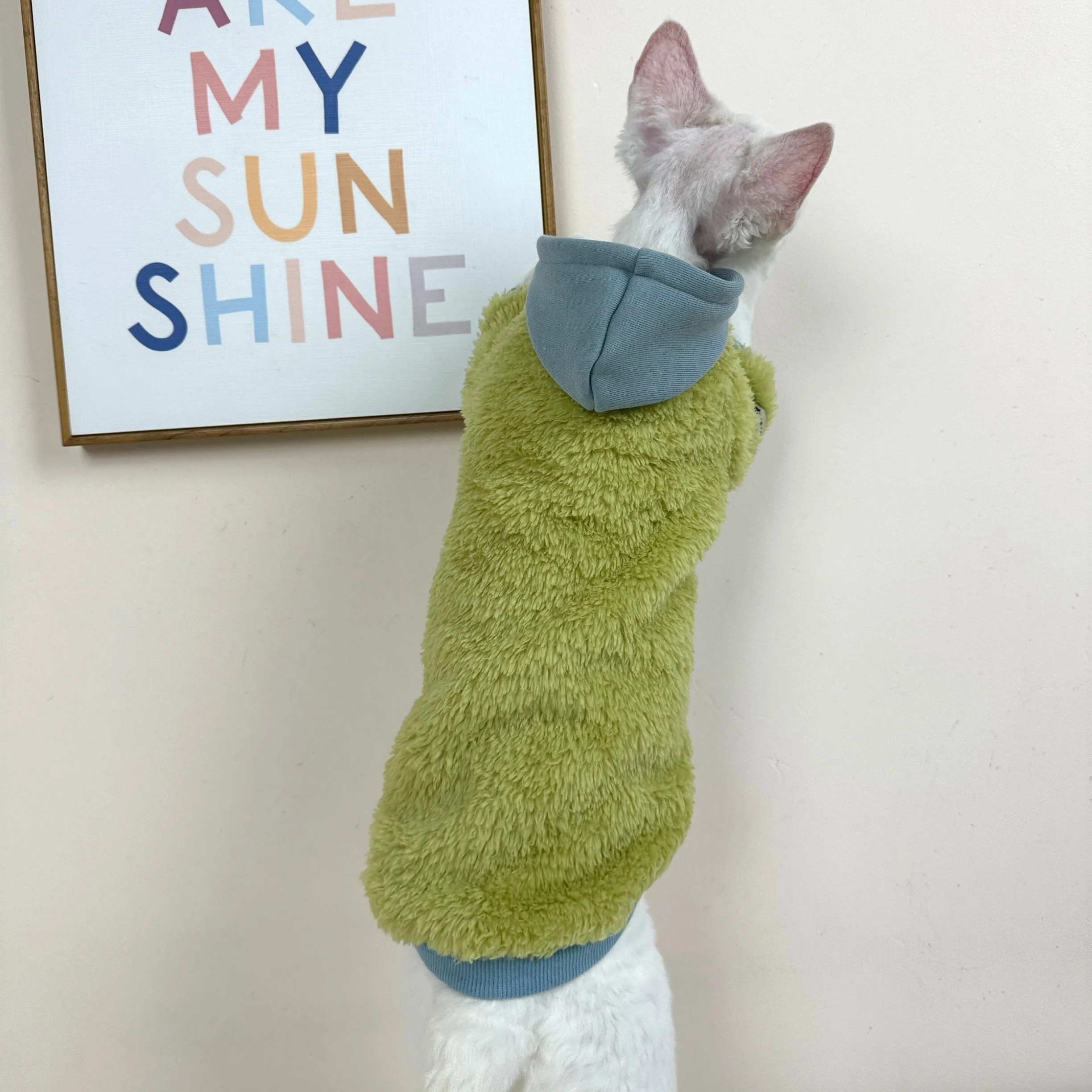 Cárdigan de forro polar grueso para gatos Sphynx invierno con capucha - imagen 4