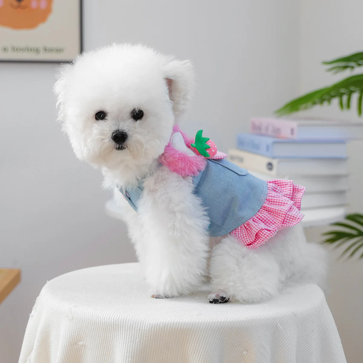 Ropa para mascotas de otoño e invierno: falda vaquera con estampado de fresa y flores, lindo vestido para cachorros para perros pequeños - imagen 3
