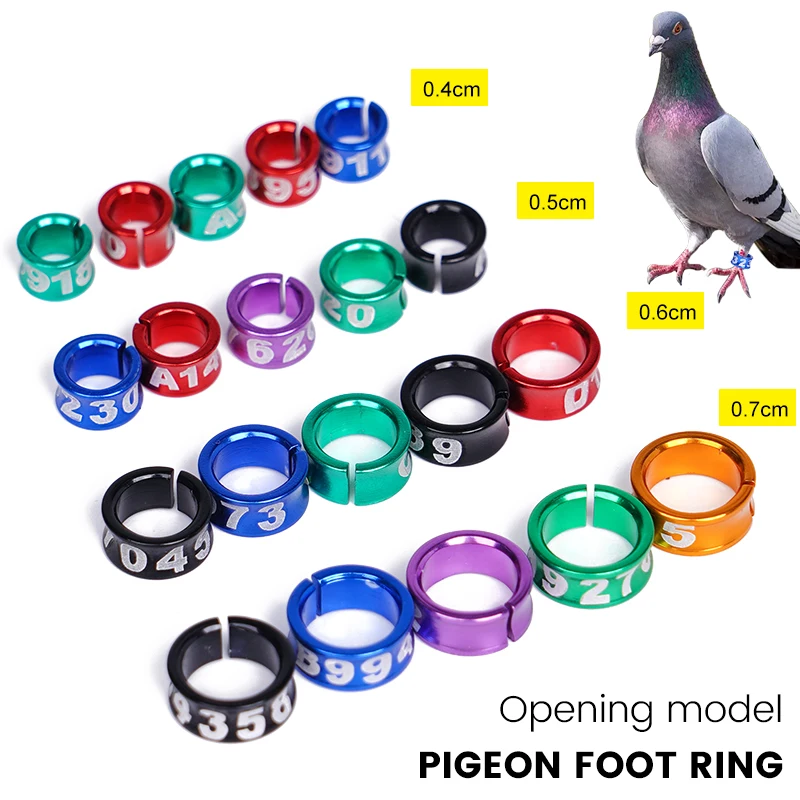 10 Uds. Anillos de aluminio para pies de Paloma, anillos para piernas de loro y pájaro, identificación de alimentación de aves, suministros para entrenamiento de vuelo al aire libre