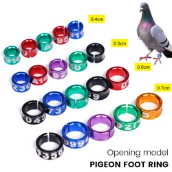Anillos de aluminio para patas de aves: palomas y loros
