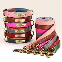 Collar identificativo acolchado con placa antipérdida para perros