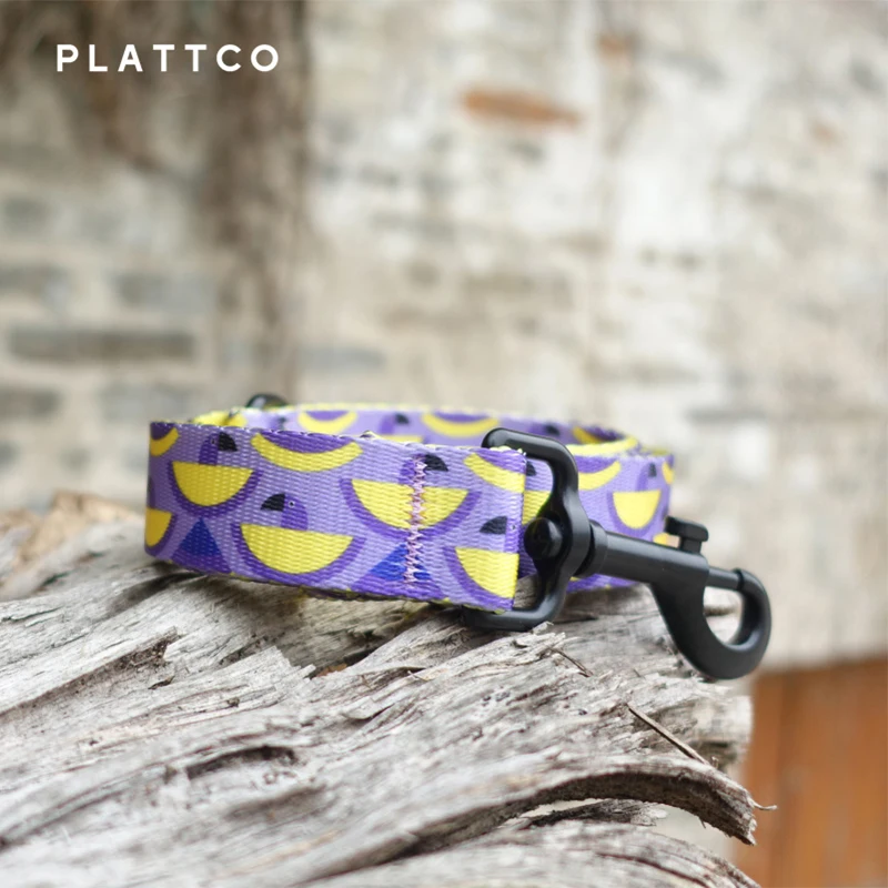 La correa para perro POCKET PARROT de diseño único de PLATTCO es vívida y linda, adecuada para perros que caminan de todos los tamaños PDL312 - imagen 2