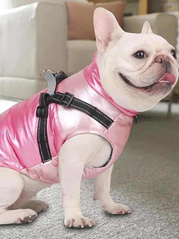 Chaleco cálido para perros, ropa para Chihuahua Pug, chaqueta para perros, abrigo para perros de otoño e invierno, traje para perros pequeños y medianos - imagen 3