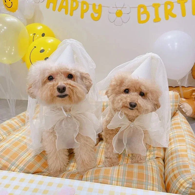 Joyería para perros, sombrero, babero de cumpleaños, bufanda con lazo, bufanda, accesorios de bolsillo Pomenian, sombrero, toalla para mascotas, lazo, fiesta, boda, Teddy, Saliva, triángulo - imagen 2
