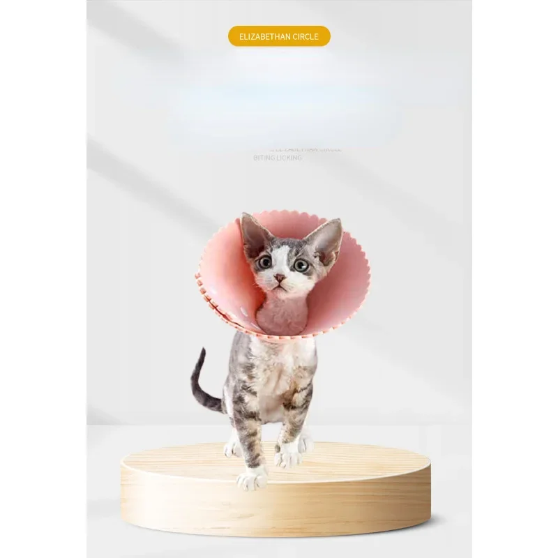Collar de recuperación de gato en forma de flor, Collar antimordedura, antilamer, curación de heridas, protección, Collar isabelino, suministros para mascotas - imagen 4