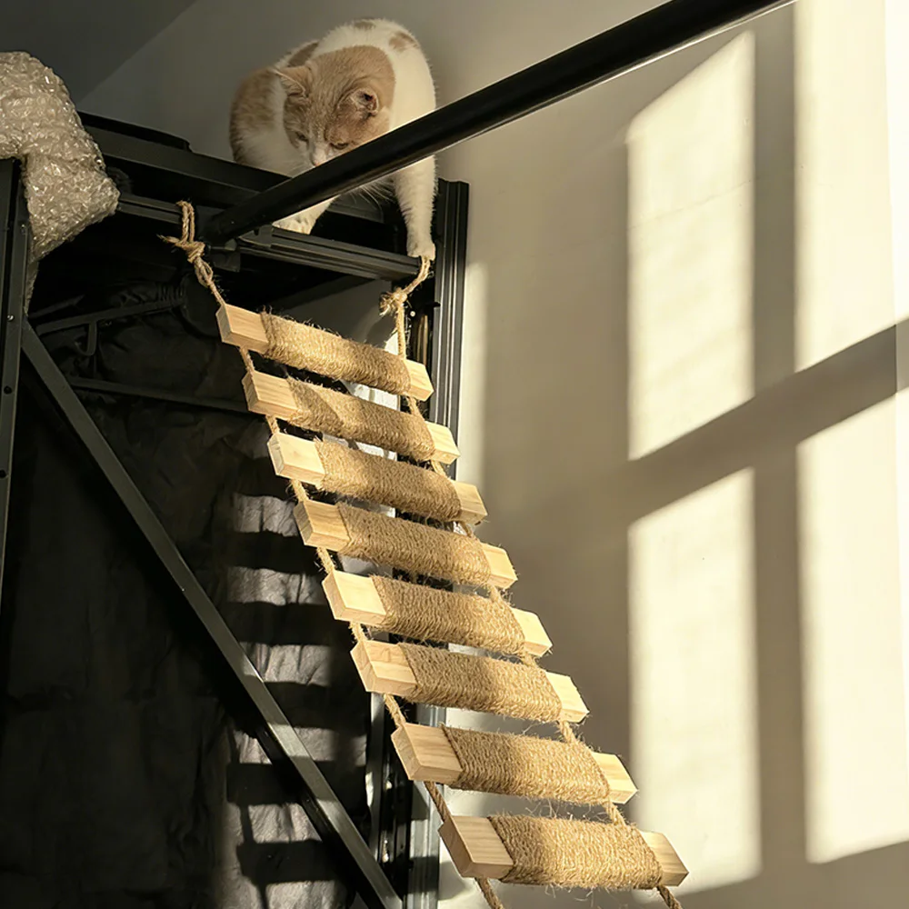 Escalera de cuerda para gatos de interior – sisal natural y ejercicio - imagen 5