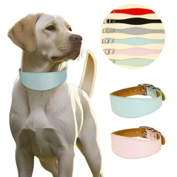 Collar de cuero ancho regulable para perros Whippet y Greyhound