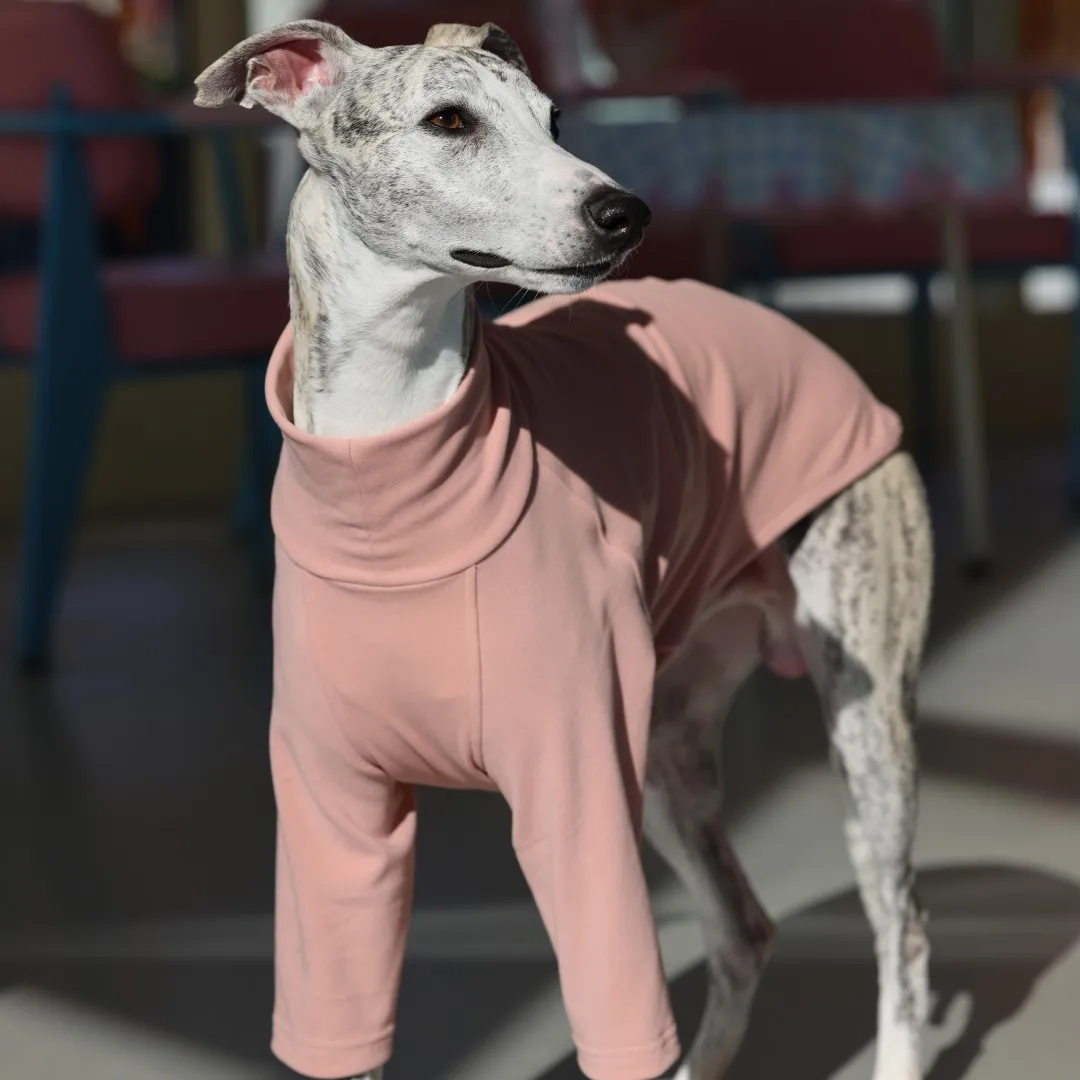 Camiseta rosa suave para perros, sudadera morada para galgo italiano, Top caqui de manga larga para pijama de invierno Whippet para Whippet