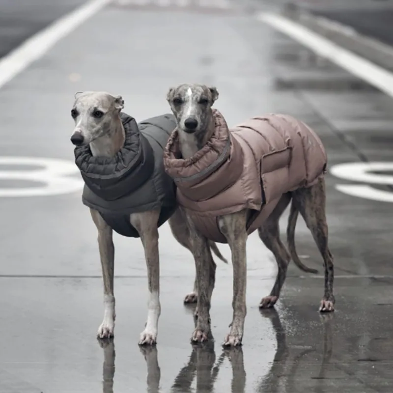 Ropa para perros, chaqueta gruesa impermeable a prueba de viento para mascotas, ropa cálida de invierno para Chihuahua, trajes de Bulldog Francés, Parka para perros grandes - imagen 5