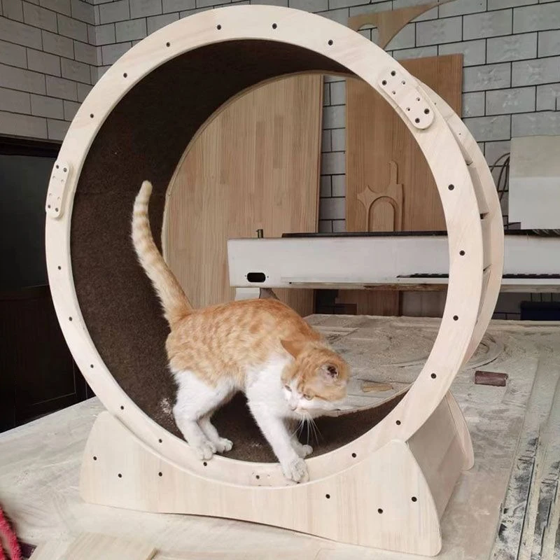 Cinta de correr de madera maciza para gatos, rueda pequeña para correr, cinta de correr grande para gatos, rodillo para Fitness, juguetes para mascotas, pista deportiva silenciosa, suministros para mascotas